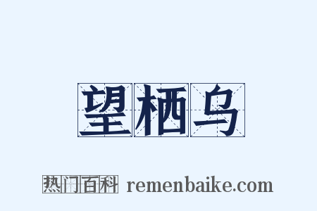 望栖乌是什么意思的图片